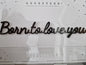 Born to love you