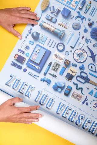 100 Verschillen Blauw