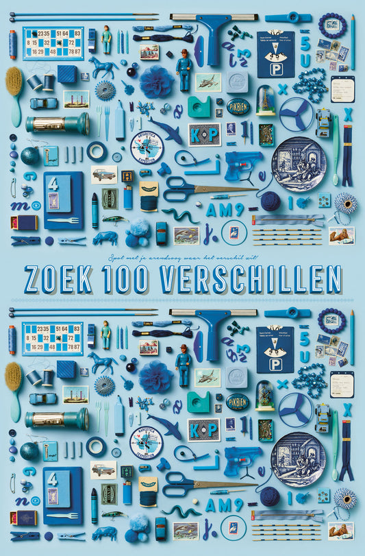 100 Verschillen Blauw