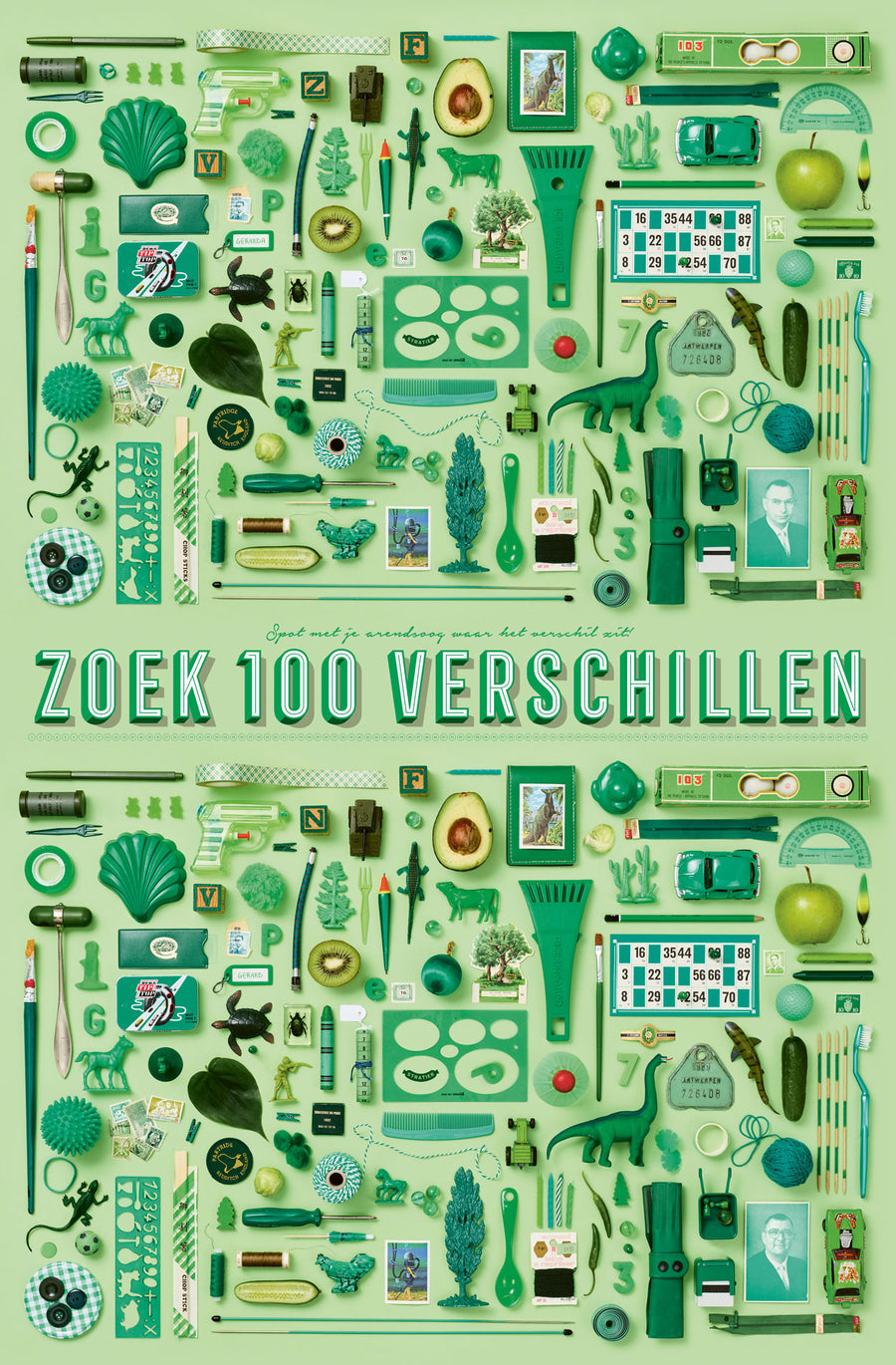 100 Verschillen Groen
